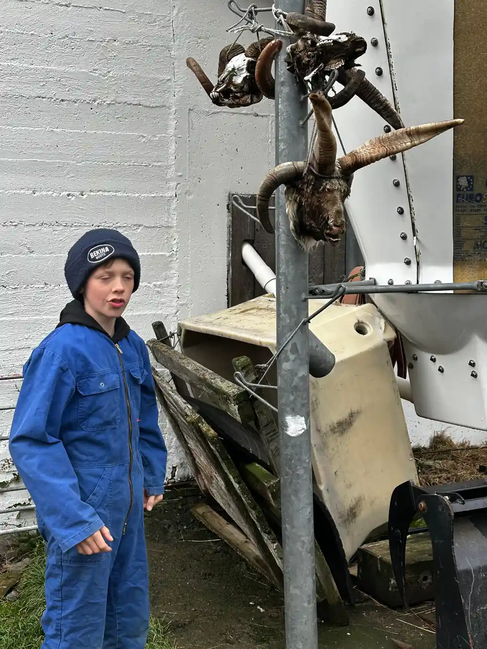 A boy in blue overalls beside farm machinery and mounted horns