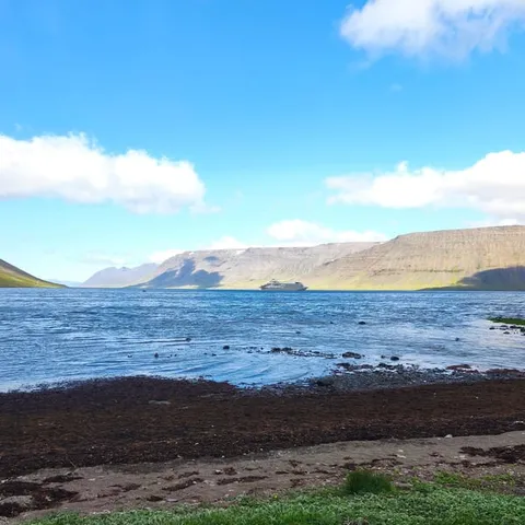 The fjord shoreline near Flateyri