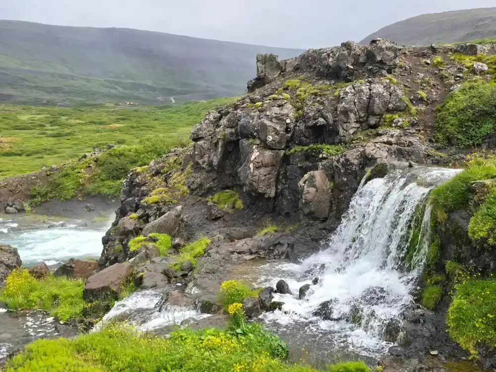 A lower fall running past crags and yellow flowers